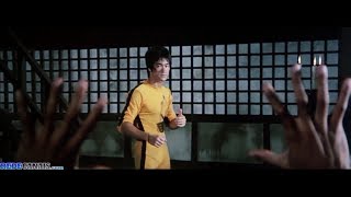 Bruce Lee vs Kareem Abdul Jabbar HD