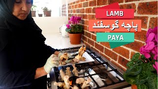 قورمه پاچه گوسفند توسط مادر جان AFGHAN LAMB PAYA RECIPE BY MOM