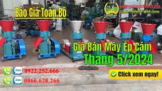 Giá Bán Máy Ép Cám Viên Trục Đứng Mới Nhất Tháng 5 Năm 2024