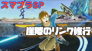 【スマブラSP】1時間リンク修行します♪3日目【ライブ配信】【大乱闘スマッシュブラザーズ SPECIAL】