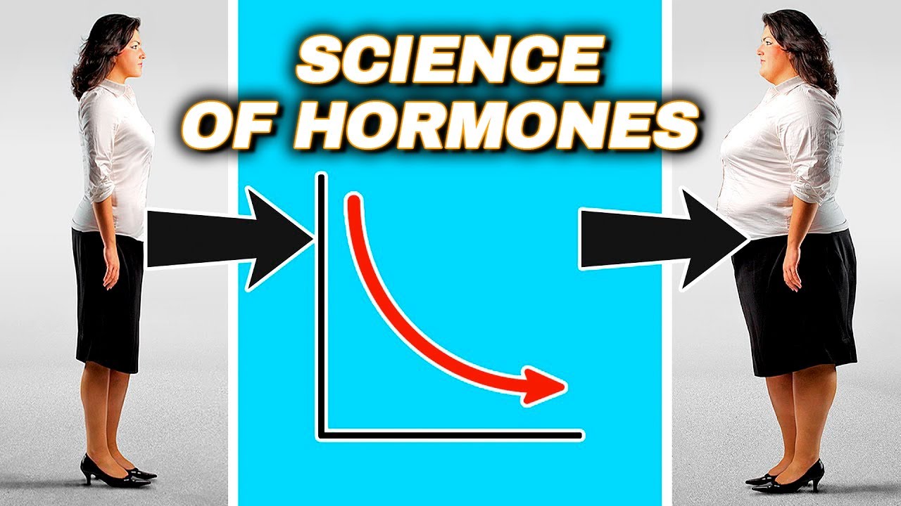 How Hormones Affect Your Body The Science Of Hormones Youtube
