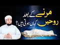 Marne Ke Baad Rooh Kaha Rahti Hai? | Rooh Kaha Jati Hai | Musalman Ki Rooh | Mufti Qasim Attari