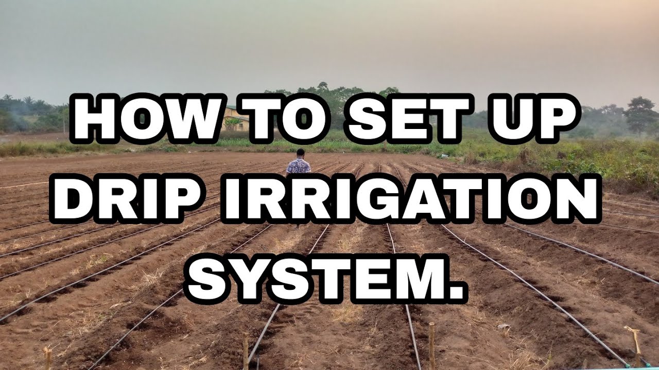 How To Set Up Drip Irrigation System Youtube