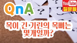 목이 긴 기린의 목뼈는 몇개일까?