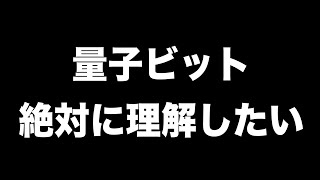 量子ビットの仕組みを絶対に理解したい