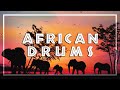 AFRICAN DRUM MUSIC • Tribal Beats • Shaman Dance • Unleash your Primal Self