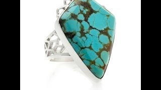 Jay's Freeform Number Eight Turquoise Ring