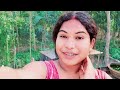 কালো বাজিগারের বেবি হয়েছে আমার কলোনিতে my birds caloni vlog petsvlog birdsvlog newvlog