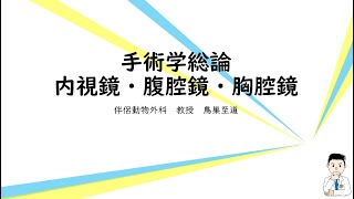 手術学総論　内視鏡、腹腔鏡、胸腔鏡など