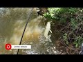 pescaria de paiu É muito viciante pescaria de barranco de piau top demais. pesca pescaria