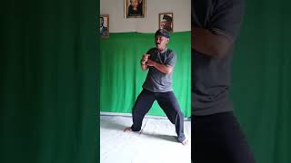 Mengagumkan! Gerakan silat yang cepat dan kuat #shorts #fypシ゚