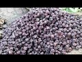 jaunpur purani sabzi mandi like subscribe and comment