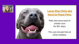 The Art of Adoption: Engaging Adopters & Creating Strategies for Hard-to-Place Pets
