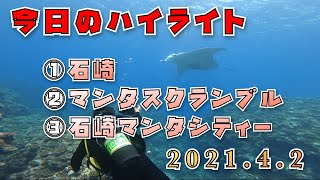 2021年4月2日のダイビングハイライト！最後の最後に〜！！