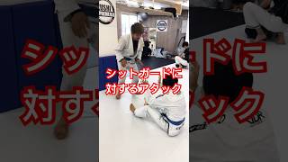 (柔術テクニック)シットガードに対するアタック #bjj #jiujitsulifestyle #jiujitu #ブラジリアン柔術 #ブラジリアン柔術テクニック動画 #柔術