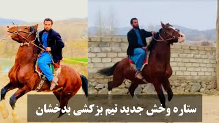 اسب نوخرید قوی تیم بزکشی-بدخشان|Badakshan Buzkashi Team new horse