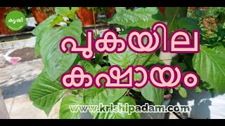 പുകയില കഷായം തയ്യാറാക്കുന്ന വിധം - Preparation and Usage of tobacco decoction, a biopesticide പുകയില കഷായം തയ്യാറാക്കുന്ന വിധം - Preparation and Usage of tobacco decoction, a biopesticide