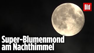 Supermond über Deutschland: Das war der größte Vollmond in 2021 (Beeindruckende Bilder!)