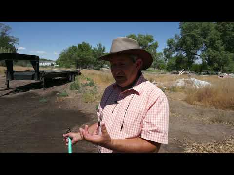 Why does sandy soil not hold water?