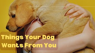 THINGS YOUR DOG WANTS FROM YOU  #dogs #cats #PETS  #funnydogs #dogsfood #dogspuppy #foodfordogs