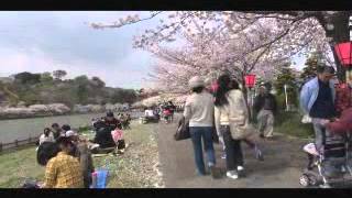 映像　藤枝蓮華寺池公園散歩路2