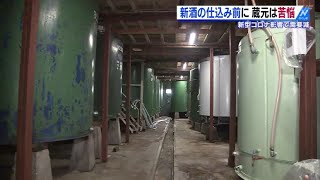 新酒の仕込み前に 蔵元は苦悩