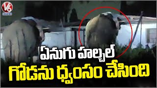 Elephant Hulchul In Palamaner | Chittoor District | V6 News