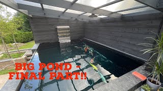 BIG KOI POND BUILD PART 3!! FISH GOING IN!!! AND A PLEC??