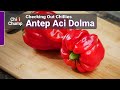 Antep Aci Dolma: a new favourite? - Episode 6: Checking out Chillies with ChilliChump