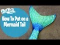 How to Put on a Mermaid Tail | Fin Fun Mermaid Tails