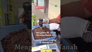 mengukur ph tanah dengan ph meter #phmeter #phtanah #alattani #alatukur