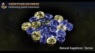 Unheated Natural Ceylon Yellow and Blue Sapphires from lot Tecton