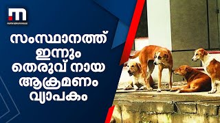 സംസ്ഥാനത്ത് ഇന്നും തെരുവ് നായ ആക്രമണം വ്യാപകം; നിരവധി പേർക്ക് പരിക്ക് | Mathrubhumi News