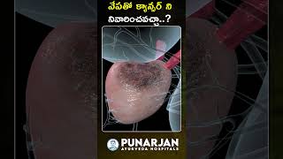 వేపతో క్యాన్సర్ ని నివారించవచ్చా? | Neem Leaves Benefits | Neem Tree Benefits | #cancer | Punarjan