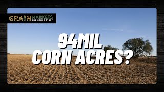 94 Million Acres of Corn: Fair or Foul??