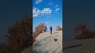 새로운 산책로 발굴  넘이쁜 산책길이 될거 같아요 #시골라이프 #강아지 산책