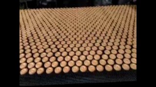 Inside a Biscuit Factory,  Biscuit preparing \u0026 packaging procedure