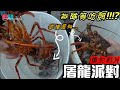 [磯釣沉底] 屠龍大補帖(必看)原來龍蝦這樣釣就能釣的好..爆釣啦 2020/10/台灣69J釣魚俱樂部(69J Fishing Club)