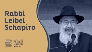 Vol 26 - Mishpotim 2 - Rabbi Leib Schapiro