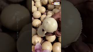 चाइना का लहसुन दुनिया में सबसे अलग है 😱 Chinese Special Garlic #facts #shorts #farming