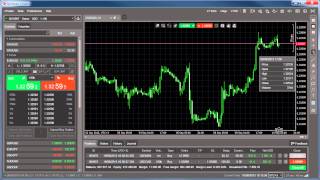 User time offset - cTrader
