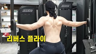 후면 삼각근, 어깨 운동 (리버스 플라이)