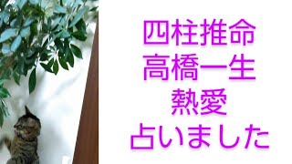 【2024年結婚されました！】高橋いっせい♡飯豊まりえ熱愛を占いました。相性など