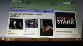What is Petfinder.com?