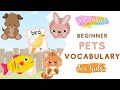 What pets do you have? Pets and Animals Beginner ESL Vocabulary for Kids: English for Young Learners