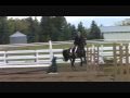 september maple leaf meadows 2 0 beginner hunter