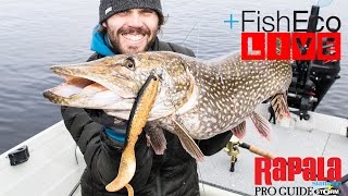 LIVEfiske efter gädda med Mathias Holgersson Rapala Proguide!