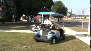 AWESOME AIR BRUSHED GOLF CART Yamaha G22 SHARK, Ocean Views