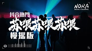 新旭 - 蘇喂蘇喂蘇喂 (慢搖版)‖One Two Three Four【抖音熱門】