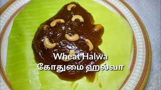 Wheat Halwa | கோதுமை அல்வா | Recipe - 48